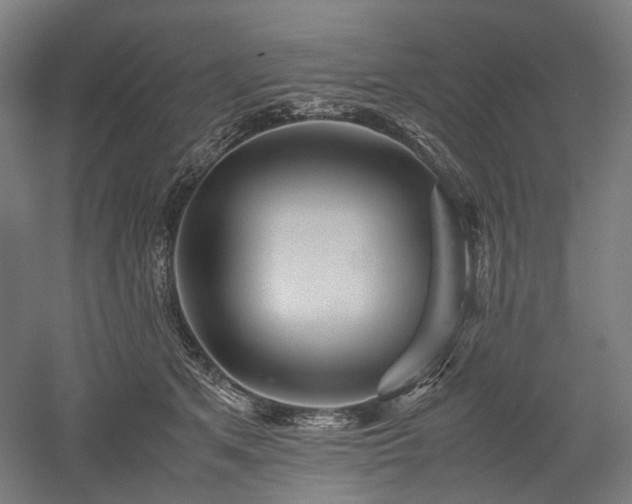 X0000052920513200507151554