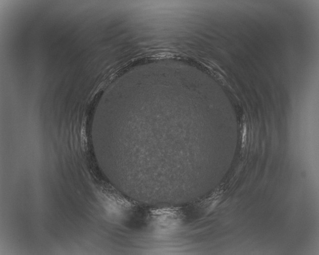 X0000052920516200507151554