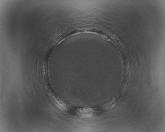 X0000052920517200507151554