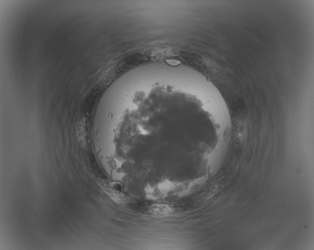 X0000052920519200507151554