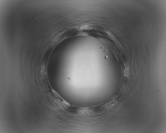 X0000052920521200507151554