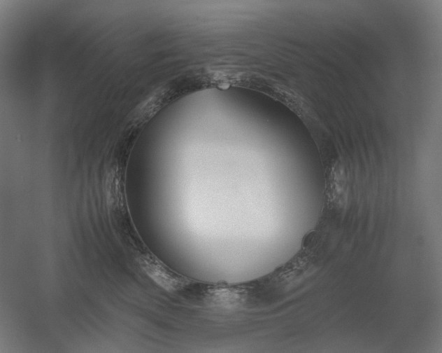 X0000052920522200507151554