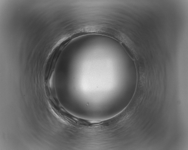 X0000052920530200507151553