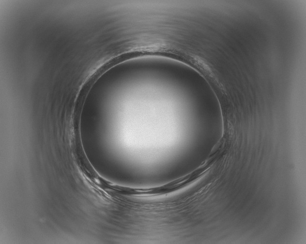 X0000052920532200507151553