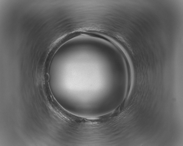 X0000052920536200507151553