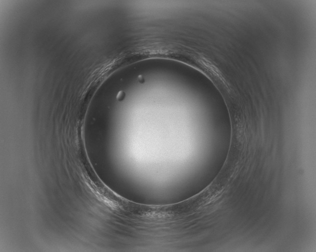 X0000052920537200507151553