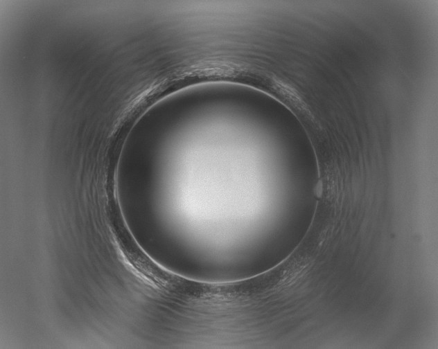 X0000052920538200507151553