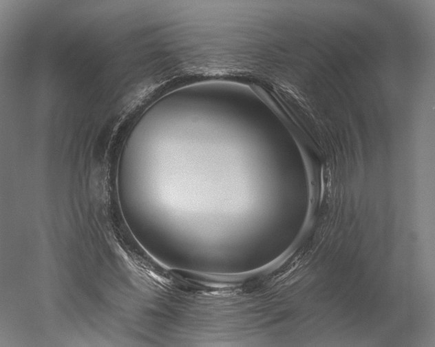 X0000052920540200507151553