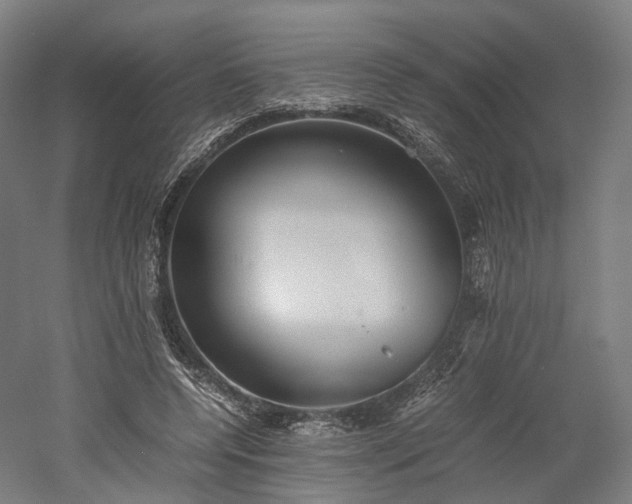X0000052920544200507151553