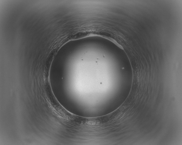 X0000052920546200507151553