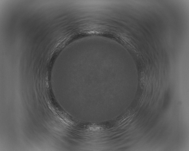 X0000052920547200507151553