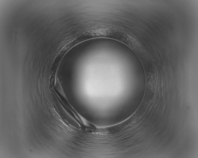 X0000052920548200507151553