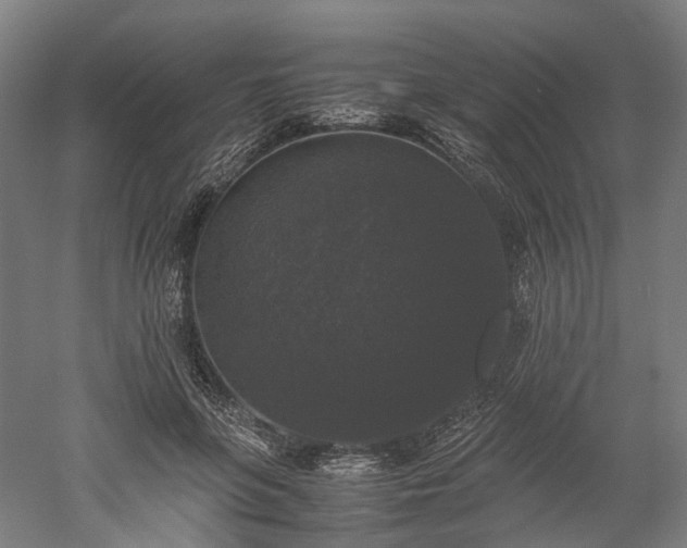 X0000052920551200507151553