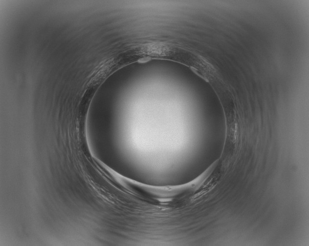 X0000052920552200507151553