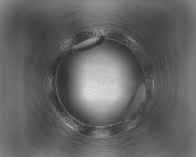 X0000052920556200507151553