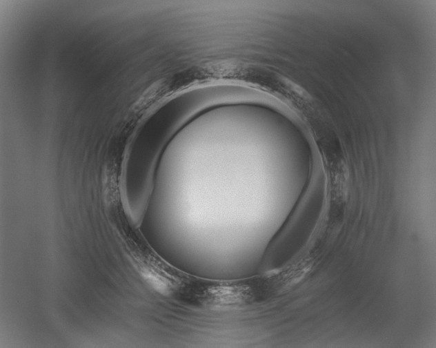 X0000052920558200507151553