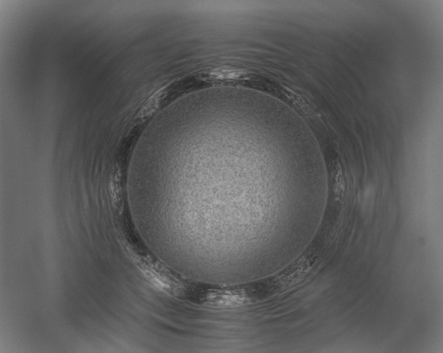 X0000052920559200507151553