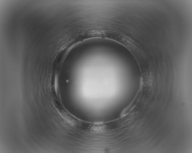 X0000052920560200507151553