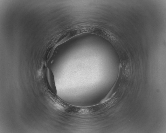 X0000052920562200507151553