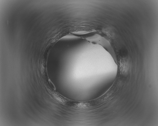X0000052920566200507151553
