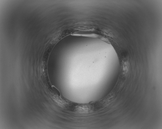 X0000052920567200507151553