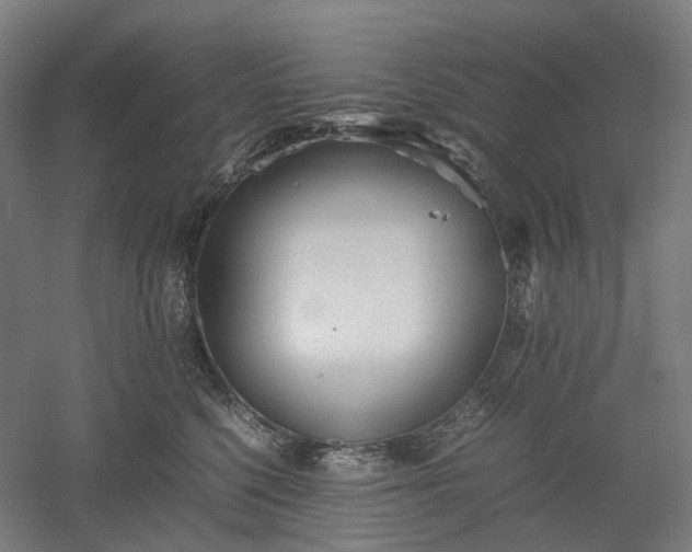 X0000052920568200507151553