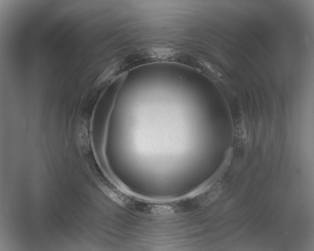 X0000052920572200507151553