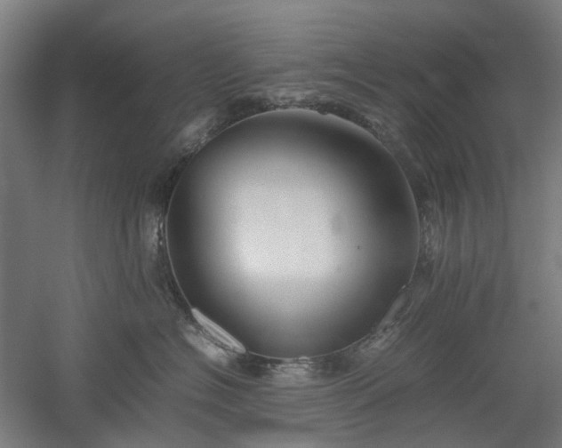 X0000052920574200507151553