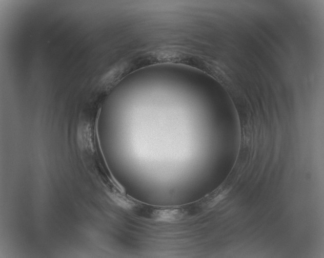 X0000052920575200507151554