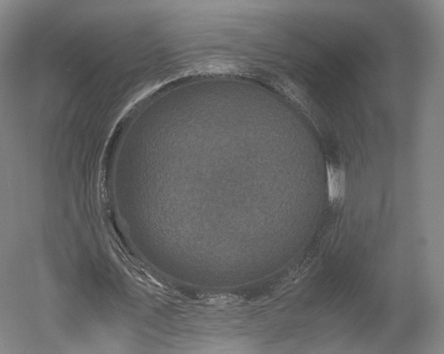 X0000052920579200507151553