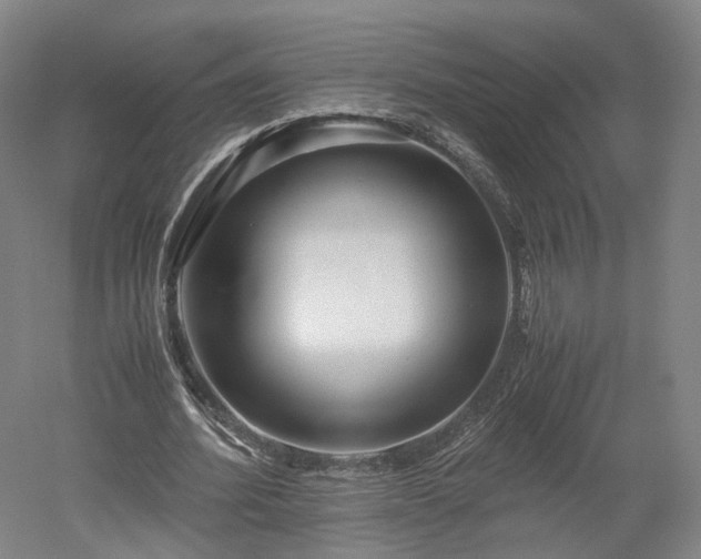 X0000052920580200507151553