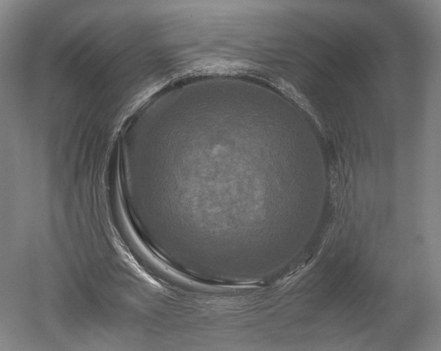 X0000052920581200507151553