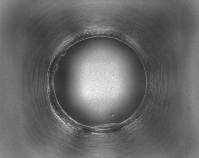 X0000052920582200507151553