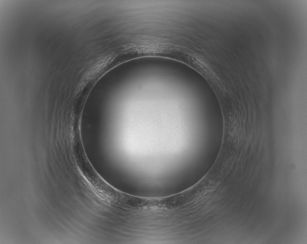 X0000052920586200507151553