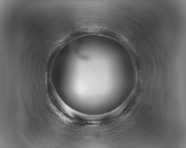X0000052920589200507151553
