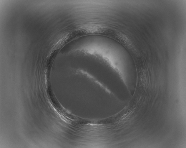 X0000052920590200507151552