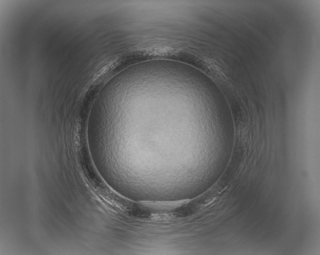 X0000052920591200507151552