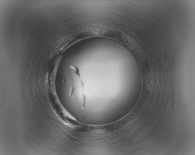 X0000052920594200507151552