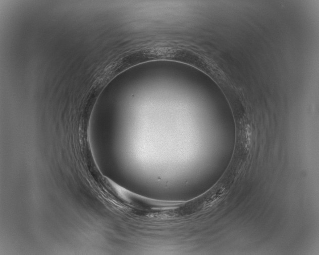 X0000052920597200507151552