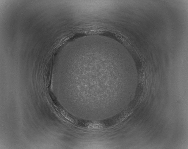 X0000052920599200507151552