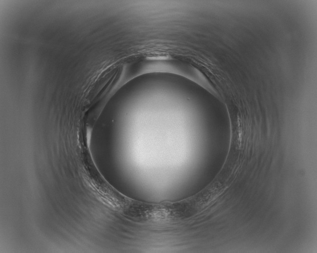 X0000052920600200507151552