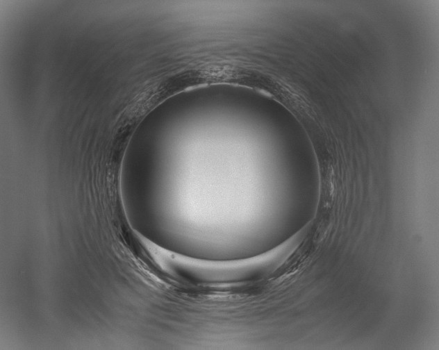 X0000052920601200507151552