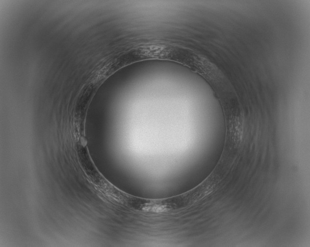 X0000052920602200507151552