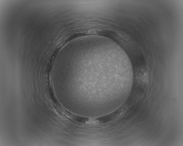 X0000052920603200507151552