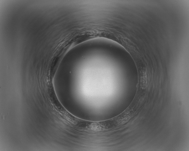 X0000052920608200507151552