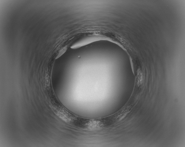 X0000052920609200507151552