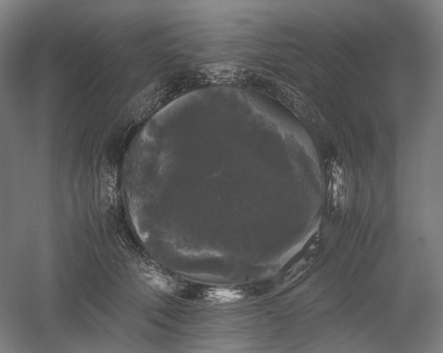 X0000052920610200507151552