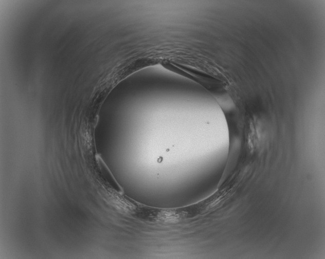 X0000052920613200507151552