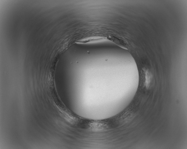 X0000052920614200507151552