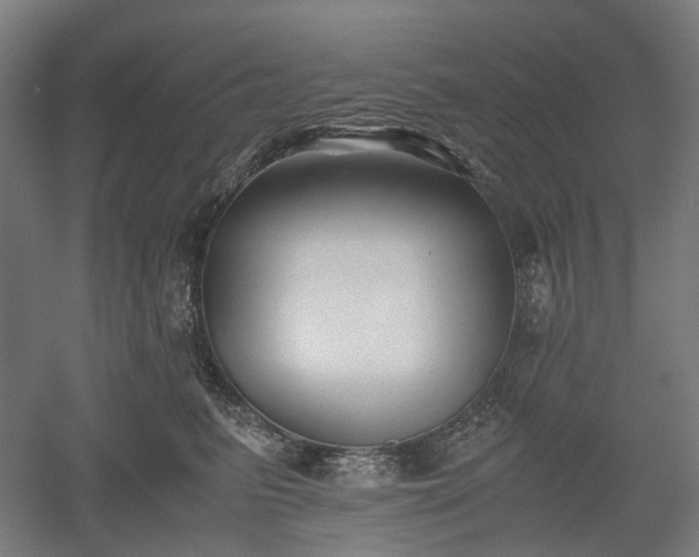 X0000052920615200507151552